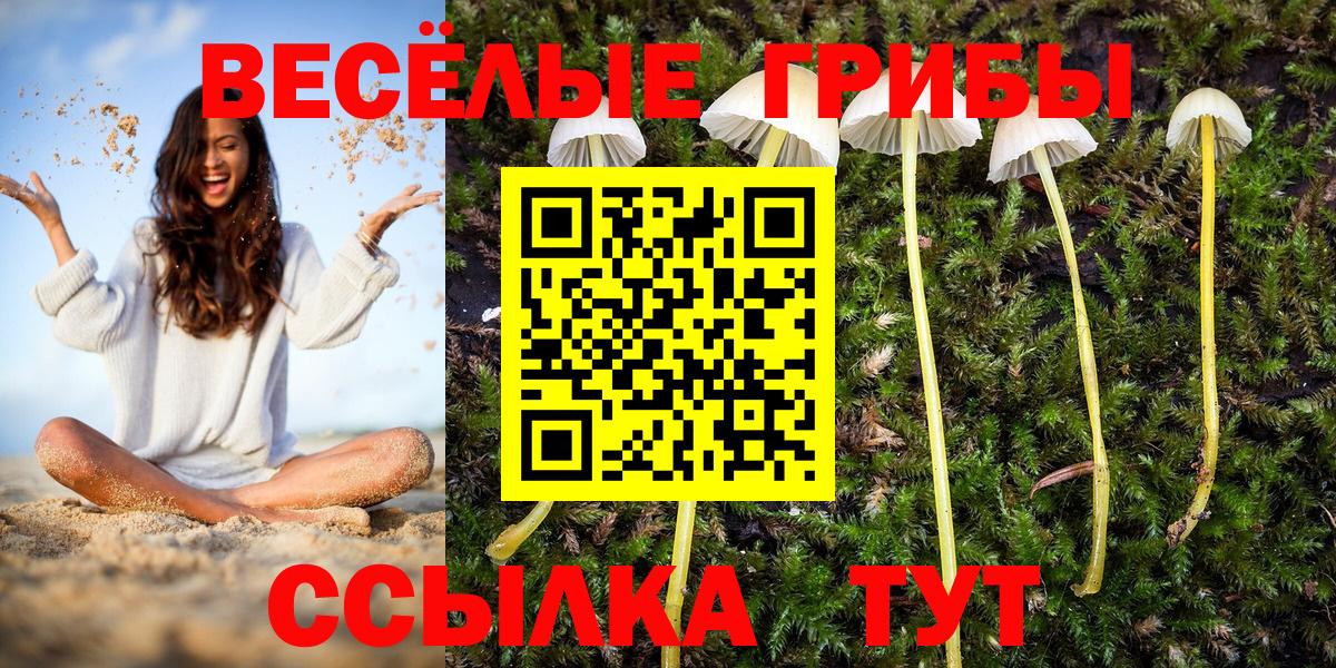 Псилоцибиновые грибы мицелий Воронеж