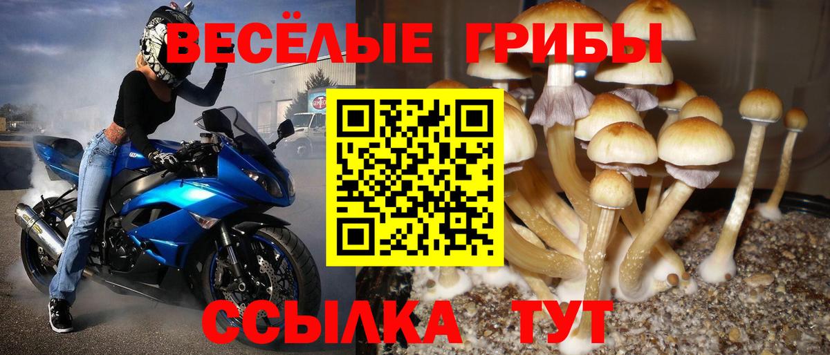 Воронеж  Галлюциногенные грибы мухоморы  Вход с VPN 